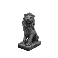 Leeuw links H50 cm