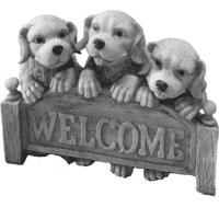 Welkom honden