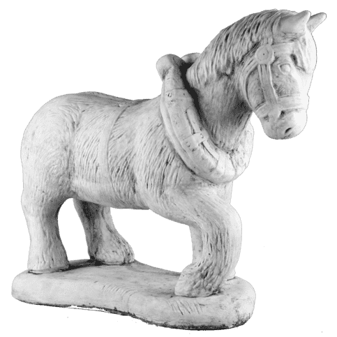 Paard