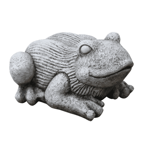 Kikker groot 19 cm