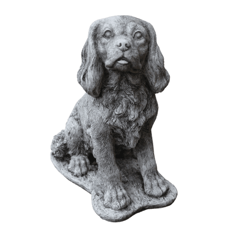 King Charles H31 cm