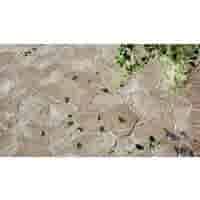 Flagstone Latte 8,4m2