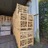 Krat haardhout Beuk/Eiken 80x120x110cm