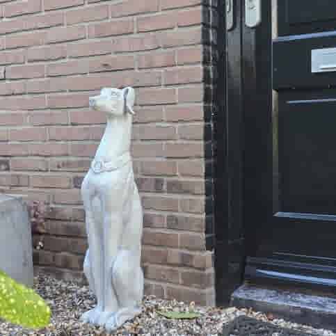 Betonnen Hazewindhond Tuinbeeld 78 cm