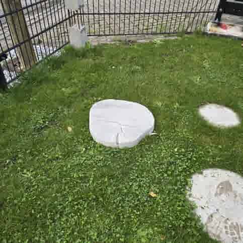 Boomschijf staptegel 30/45 grijs