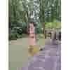 Inspiratie