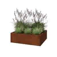 Cortenstaal plantenbak Texas 100x80 cm