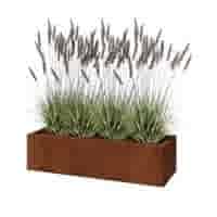 Cortenstaal plantenbak Texas 120x40 cm