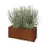 Cortenstaal plantenbak Texas 80x30 cm