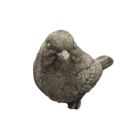 Decoratief Betonnen Vogelbeeld H24 cm