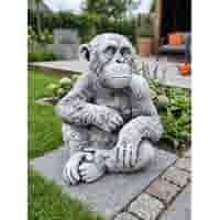Groot betonnen tuinbeeld van een chimpansee 50 cm