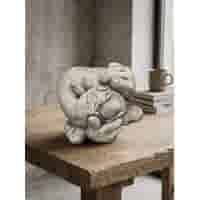 Decoratief betonnen tuinbeeld De Bedenkelijke Appel H21 cm