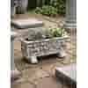 Decoratieve plantenbak met druivenmotief 20 cm