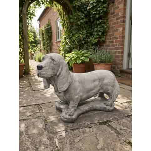 Basset hondenbeeld van beton H36 cm