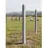 Betonnen Weidepaal 220 cm